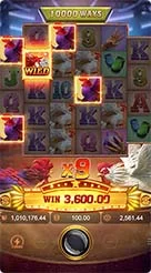 6rt · Rooster Rbl
